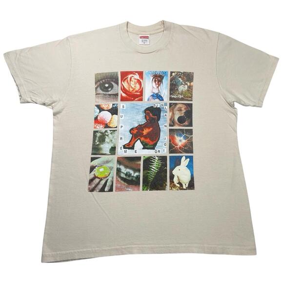 Supreme S/S 2019 Original Sin T-Shirt Natural Medium 21” x 26.5” - Picture 1 of 5